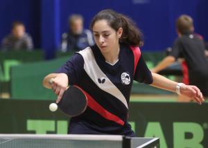 PING PONG 26 FOTO LJUBO VUKELIČ